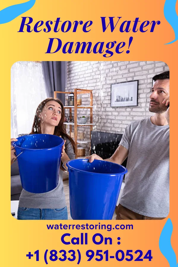 water restoration Vigilant Water Removal LLC Jane