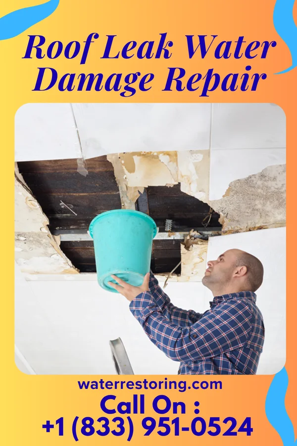 Roof Leak Water Damage Repair in Jane, MO